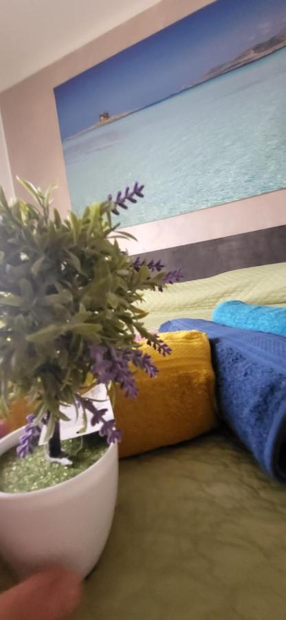 Apartmán Bradisc'House Porto Torres Exteriér fotografie